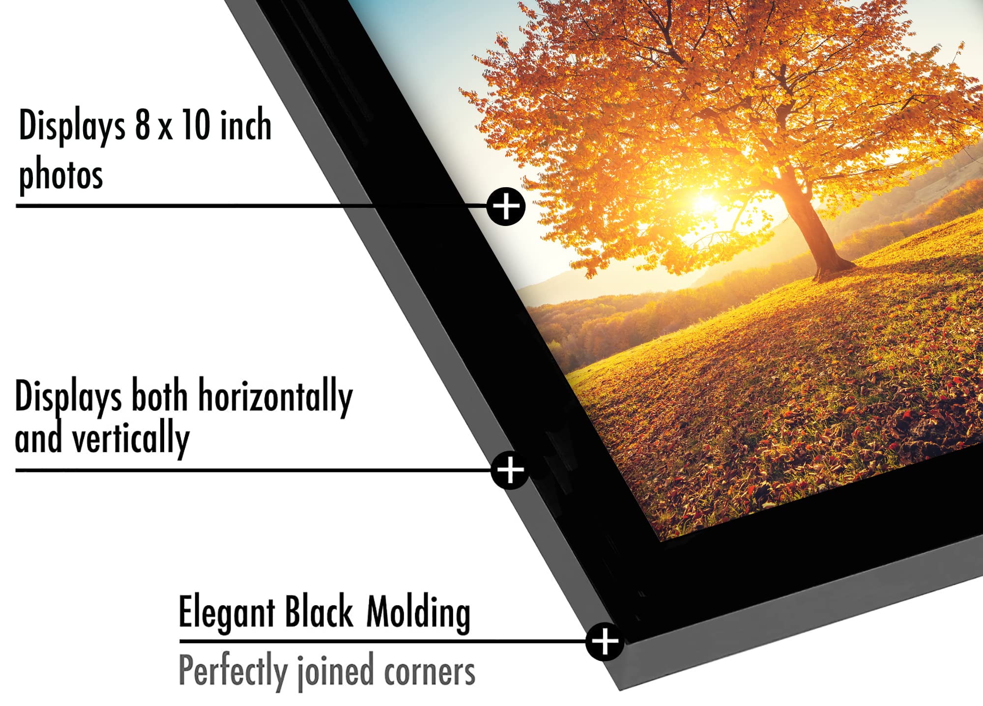 Americanflat 8x10 Picture Frame with Shatter-Resistant Glass - Signature Collection - Gallery-Style Frames Made of Engineered Wo